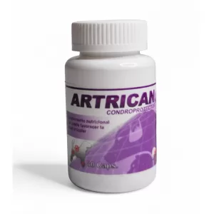 ARTRICAN condroprotector 80 capsulas