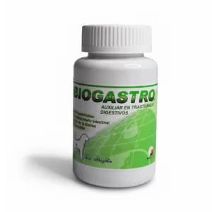 Biogastro Auxiliar en trastornos digestivos 80 comprimidos