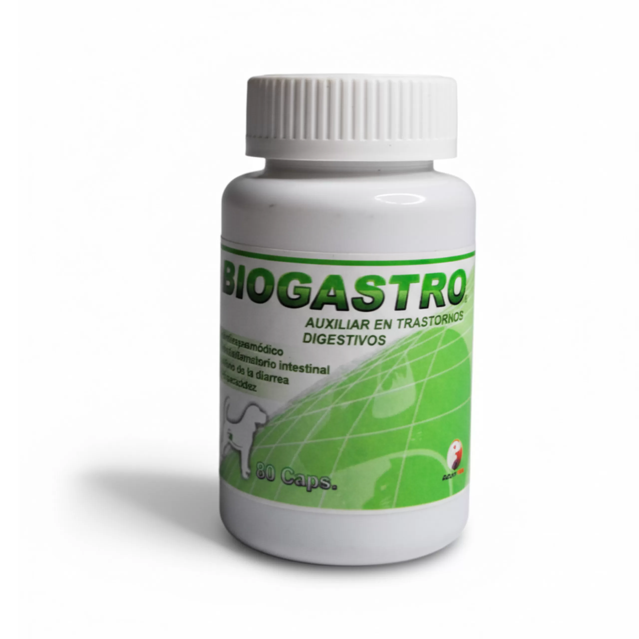 Biogastro Auxiliar en trastornos digestivos 80 comprimidos